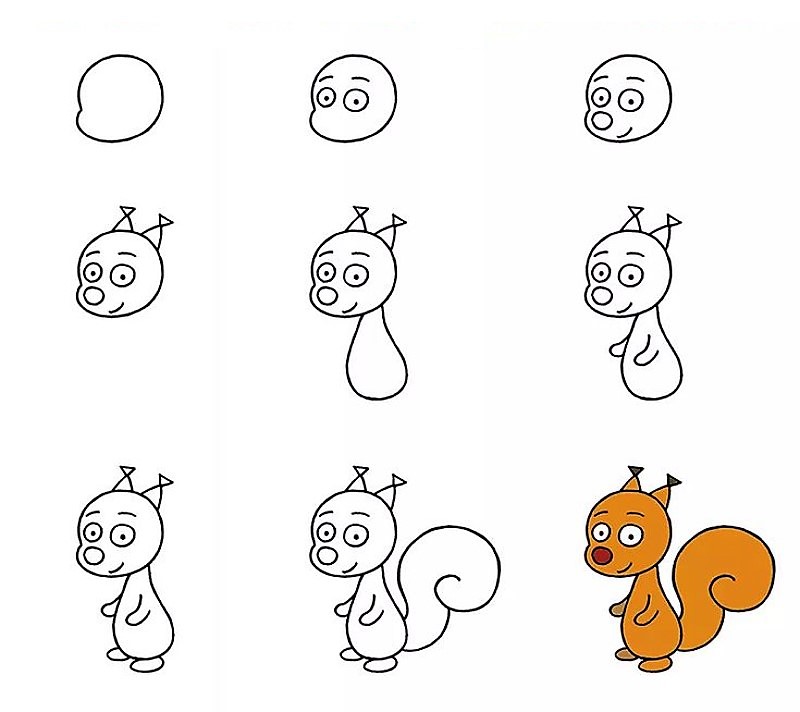 A squirrel idea 10 Drawing Ideas