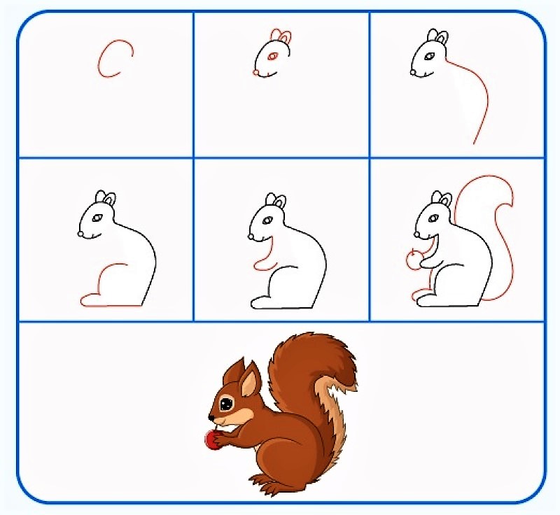 A squirrel idea 11 Drawing Ideas