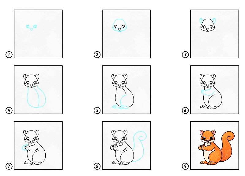 A squirrel idea 14 Drawing Ideas