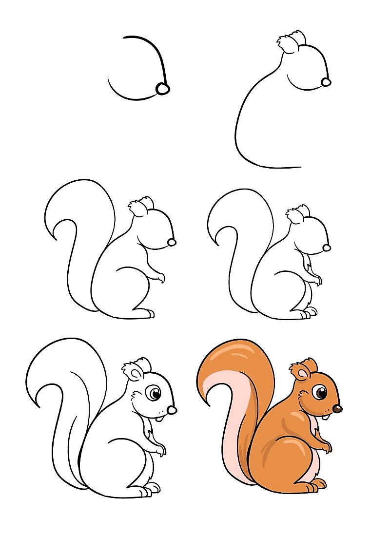 A Squirrel idea 15 Drawing Ideas