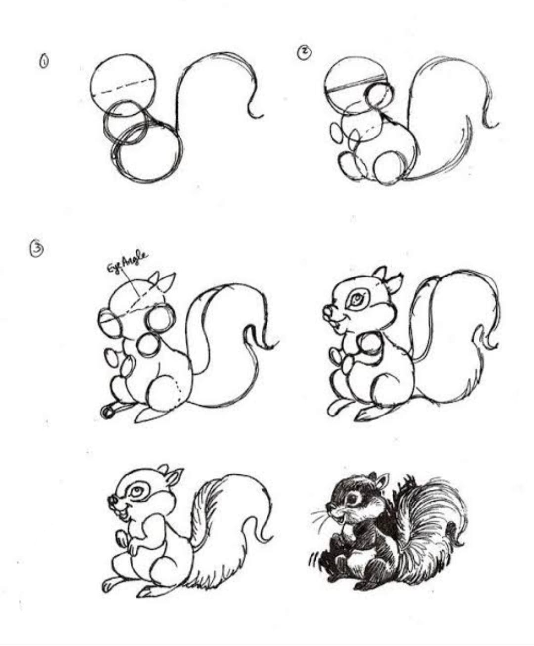 A Squirrel - Idea 16 Drawing Ideas