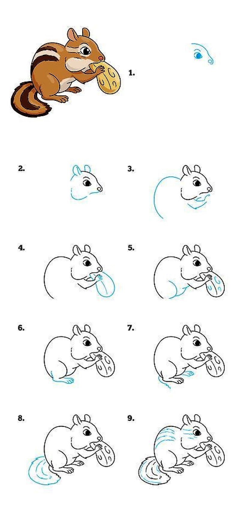 A squirrel idea 3 Drawing Ideas