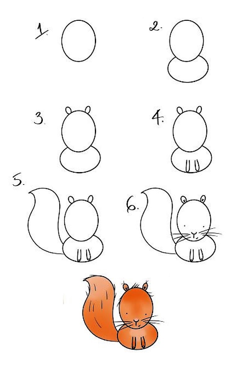 A squirrel idea 6 Drawing Ideas