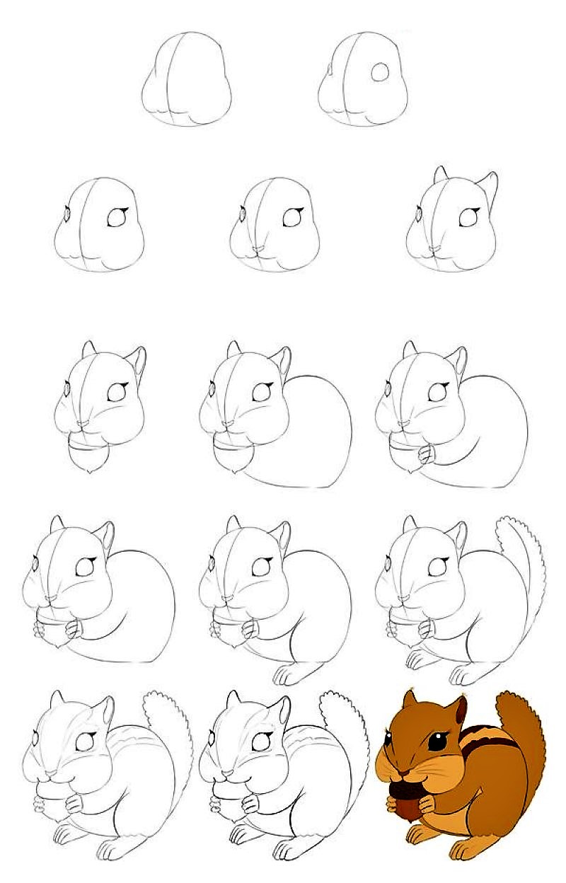 A squirrel idea 8 Drawing Ideas
