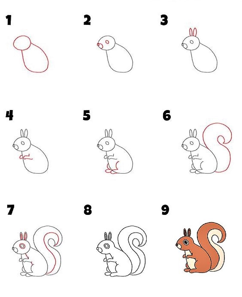 A squirrel idea 9 Drawing Ideas