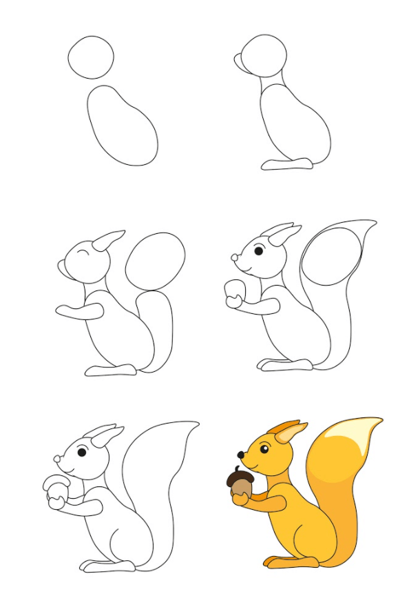 A Squirrel with an accorn Drawing Ideas