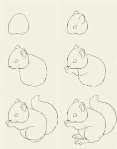 How to draw Squirrel idea 2