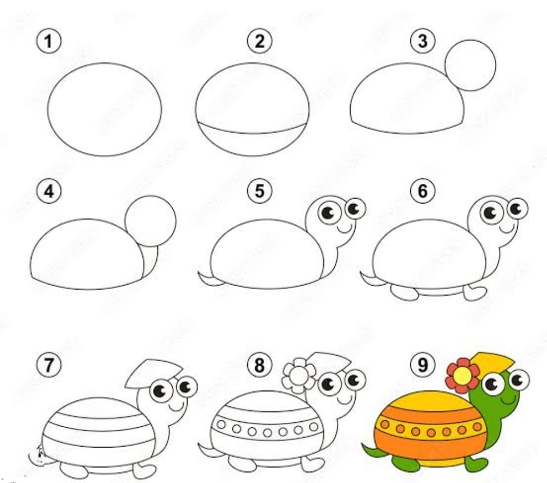 A Beautiful Turtle Drawing Ideas