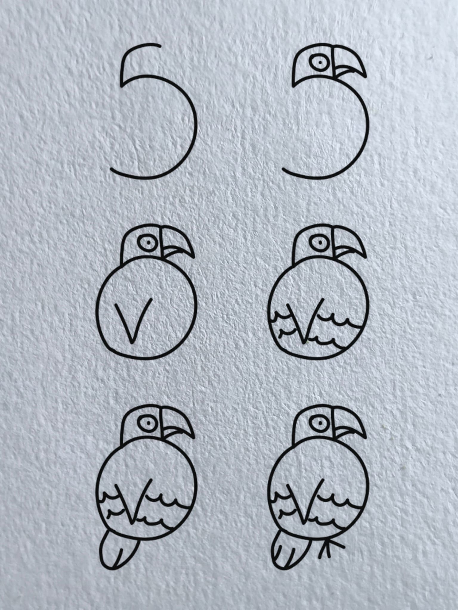 How to draw A Cute Parrot Drawing