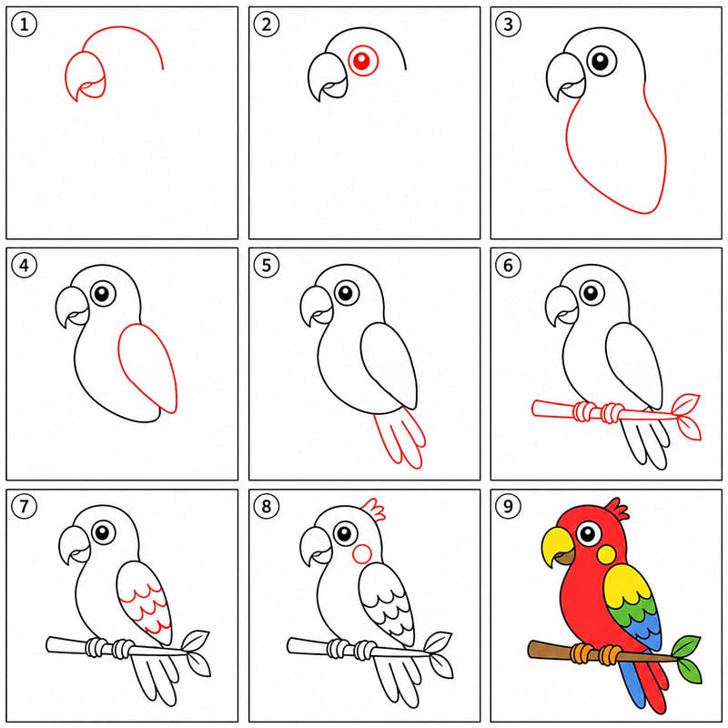 A Parrot Drawing Ideas