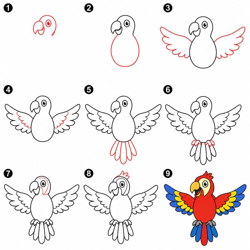 Adorable Parrot Drawing Ideas