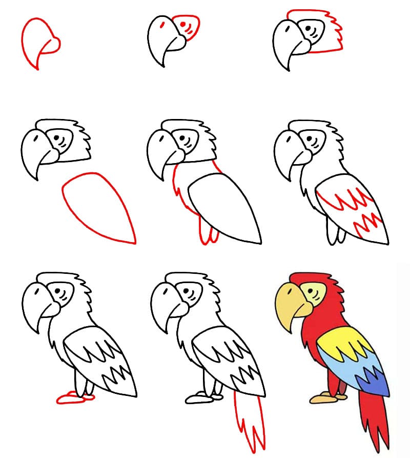 Easy Parrot Drawing Ideas