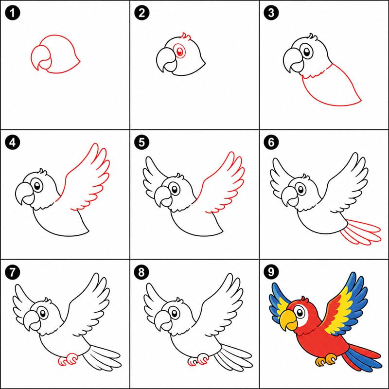 Flying Parrot Drawing Ideas