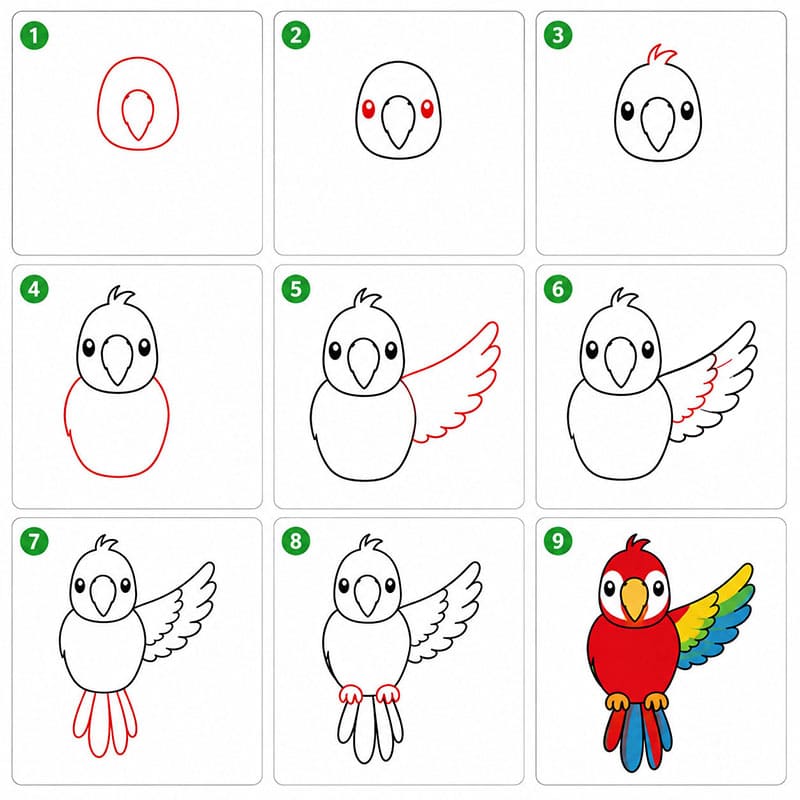 Free Parrot Drawing Ideas
