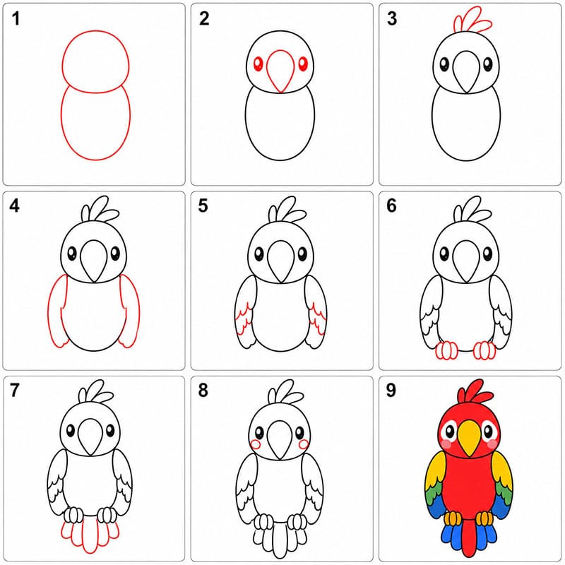 Little Parrot Drawing Ideas