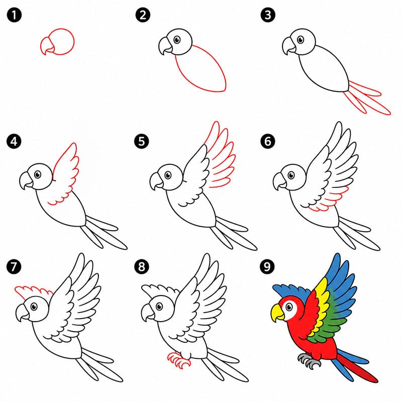 Parrot 13 Drawing Ideas