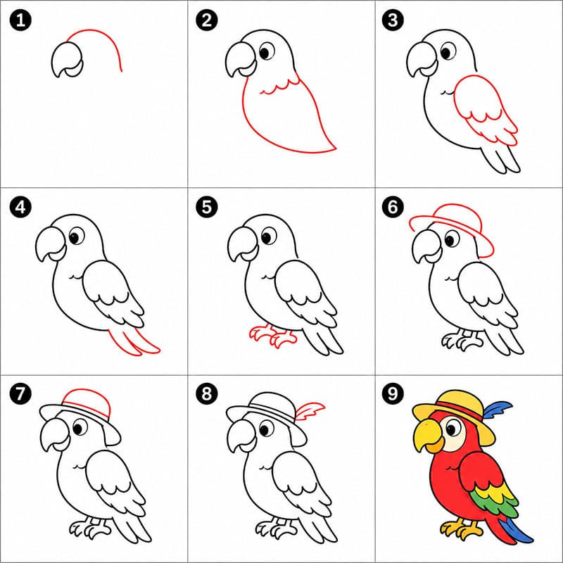 Parrot wear hat Drawing Ideas
