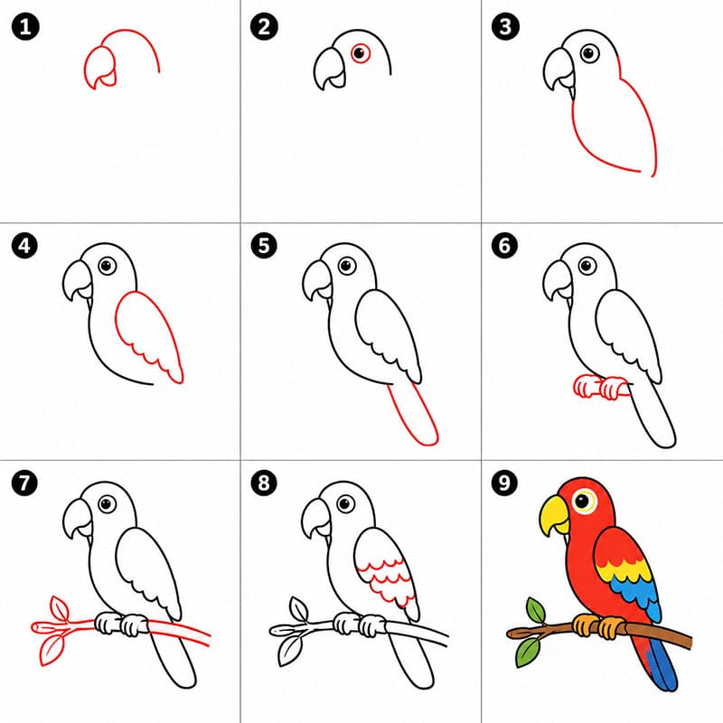 Simple Parrot Drawing Ideas