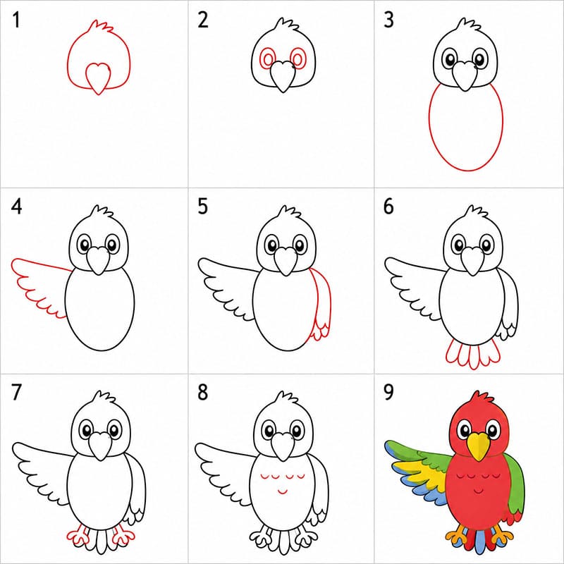 Smiling Parrot Drawing Ideas