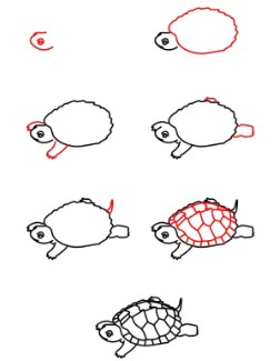 A detailed turtle Drawing Ideas