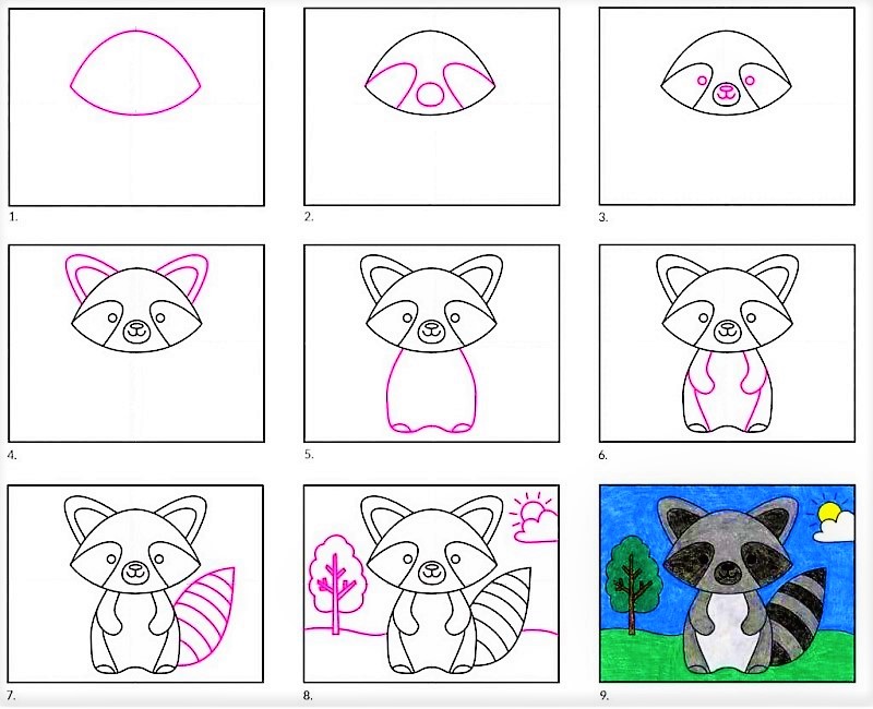 How to draw A Raccoon Idea 10