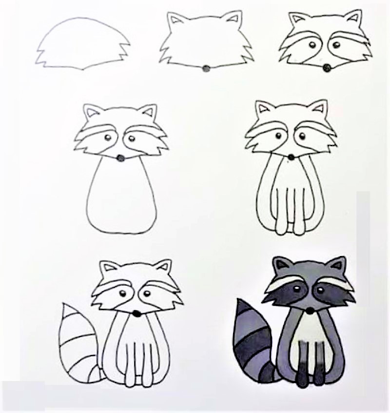 How to draw A Raccoon Idea 12