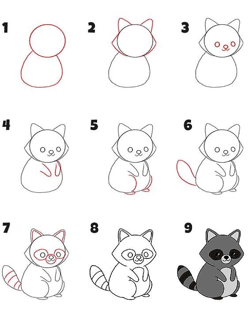 How to draw A Raccoon Idea 13