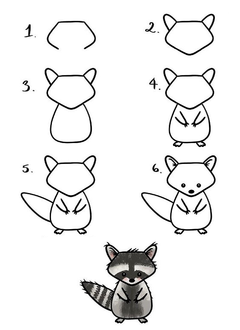 How to draw A Raccoon Idea 16