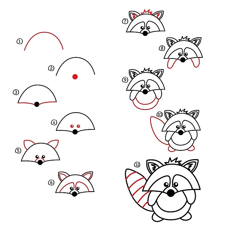 How to draw A Raccoon Idea 18