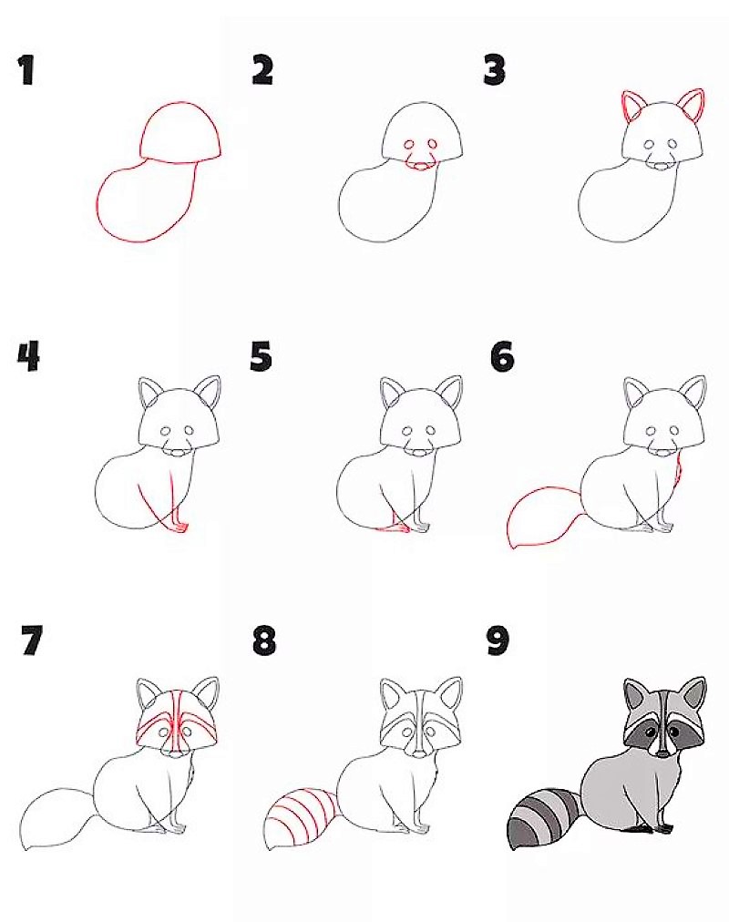 A Raccoon Idea 6 Drawing Ideas