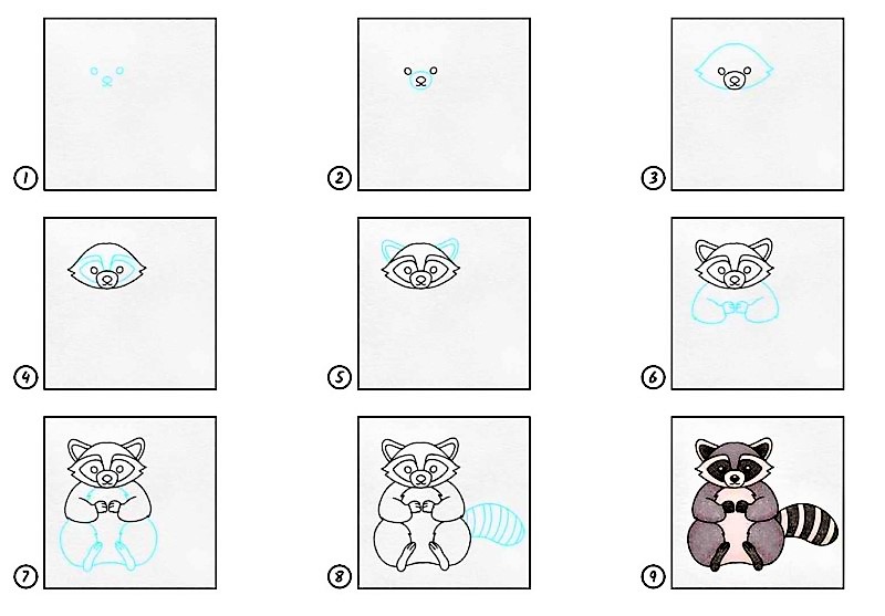 A Raccoon Idea 7 Drawing Ideas