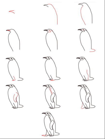 Detailed penguins Drawing Ideas