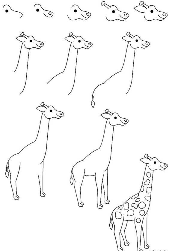 How to draw Giraffe idea (16)