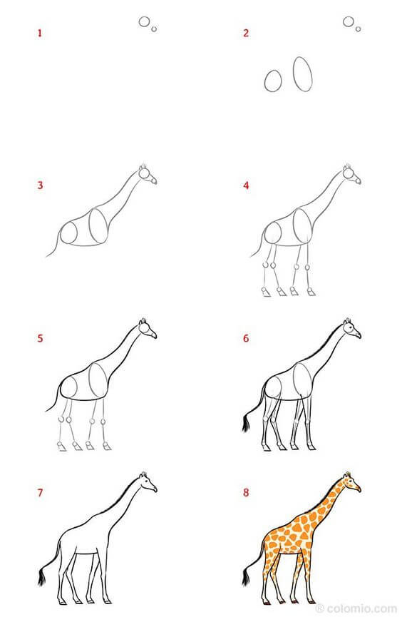 How to draw Giraffe idea (17)