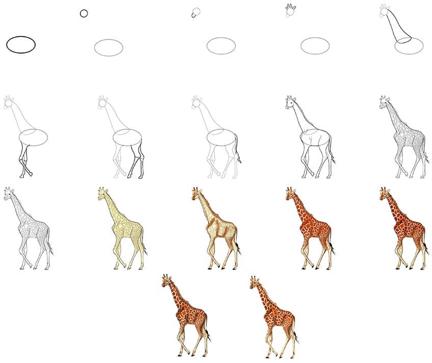 How to draw Giraffe idea (22)