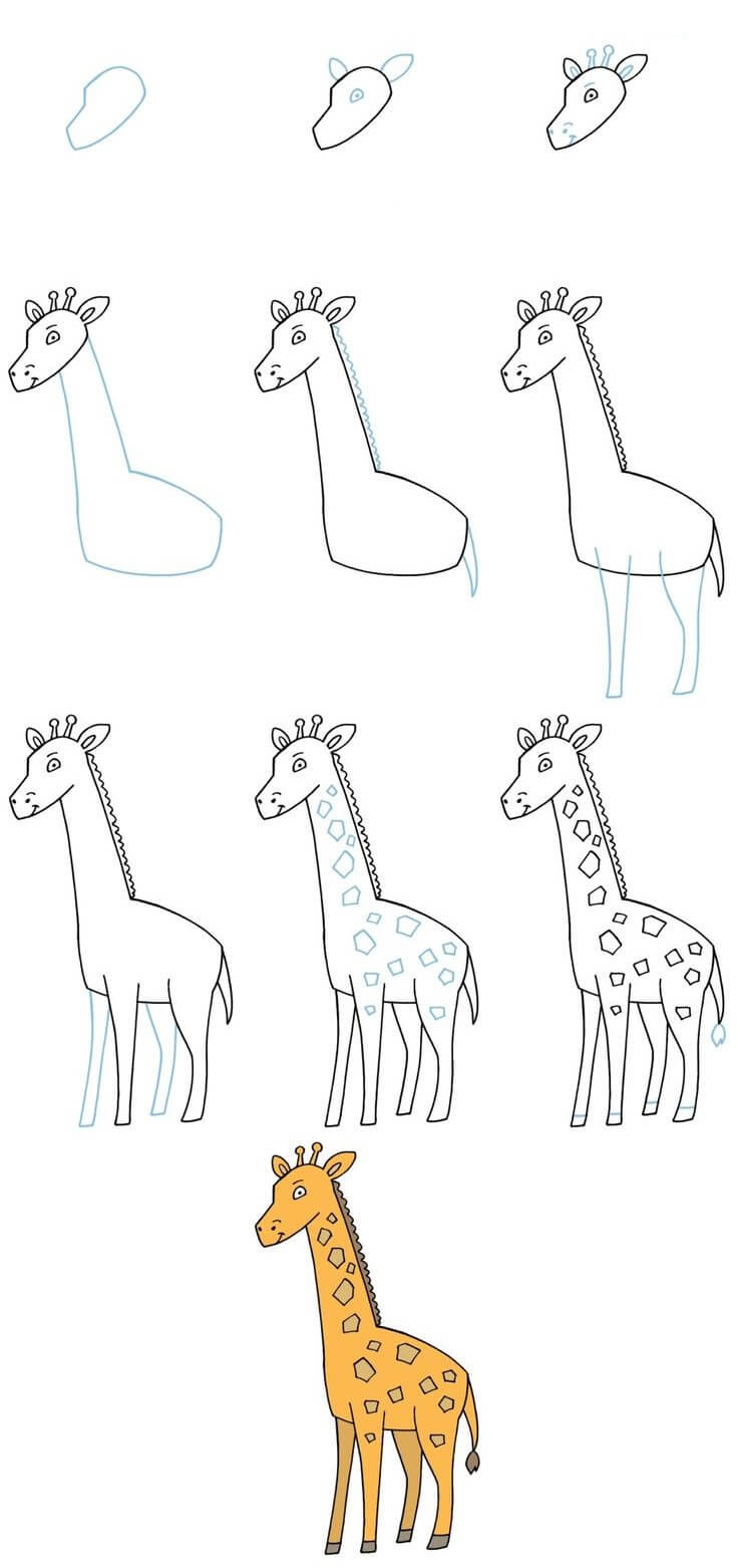 How to draw Giraffe idea (9)