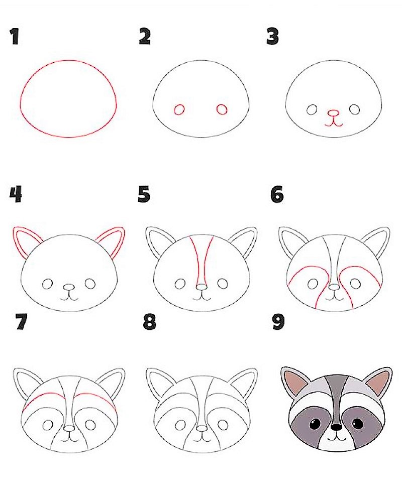 How to draw Head of a raccoon