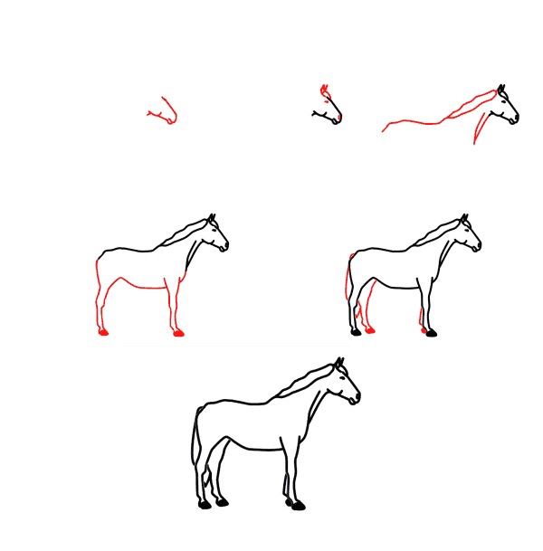 Horse Drawing Ideas