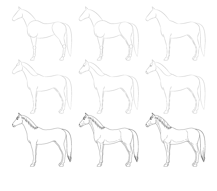 How to draw Horse drawng