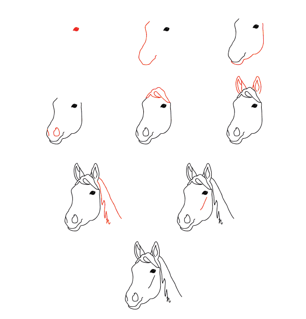 How to draw Horse face