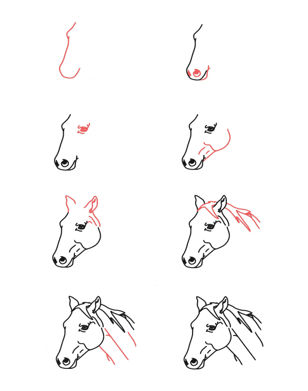 How to draw Horse head