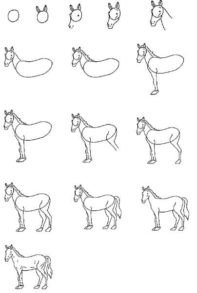 How to draw Horse idea (18)