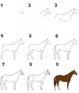 Horse idea 2 Drawing Ideas
