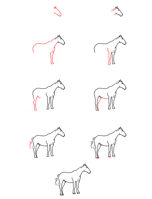 How to draw Horse idea (3)