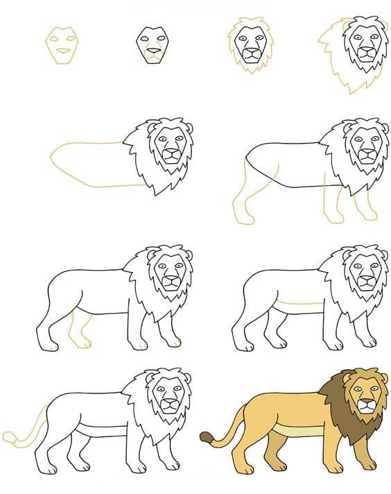 How to draw Lion idea (11)