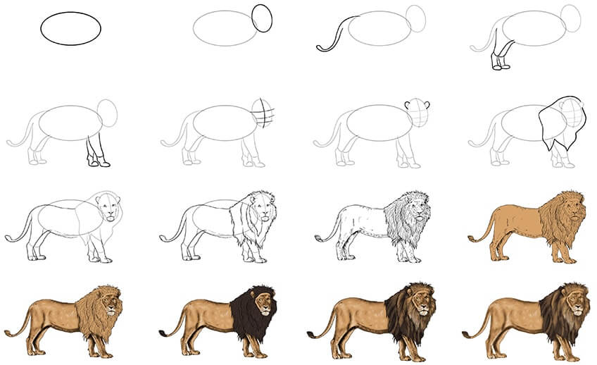 How to draw Lion idea (19)
