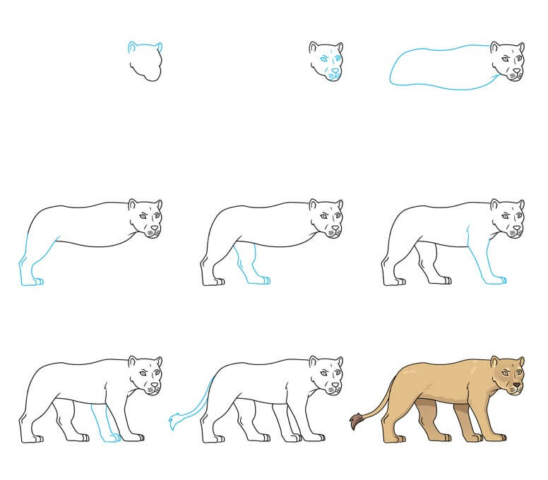 How to draw Lion idea (38)