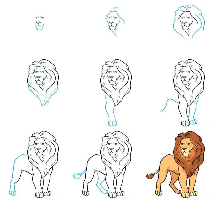 Lion idea (39) Drawing Ideas