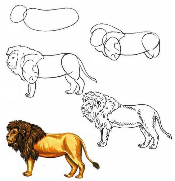 How to draw Lion idea (9)