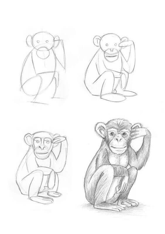 How to draw Monkey idea (17)